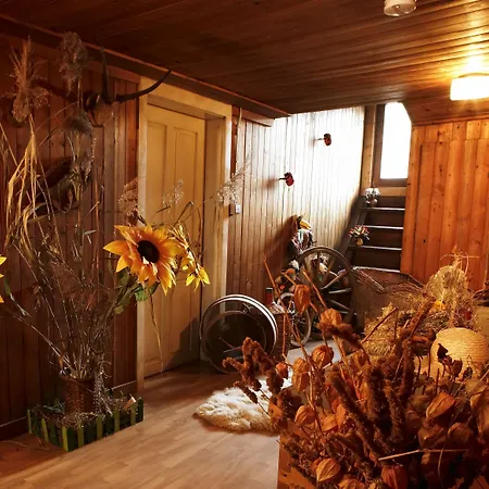 Heilbad Burgwies Szálloda Stuhlfelden