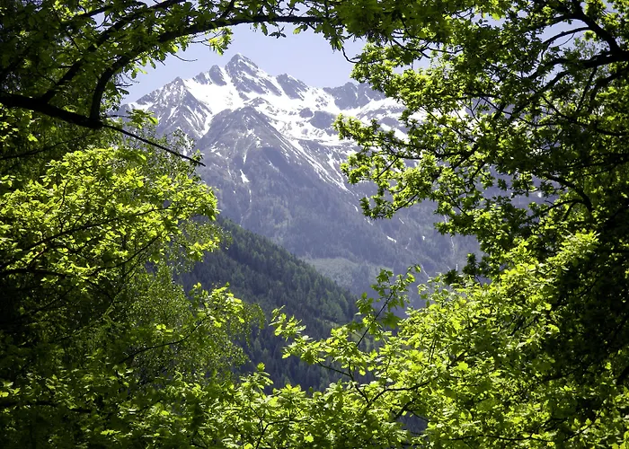 Heilbad Burgwies 3* Stuhlfelden