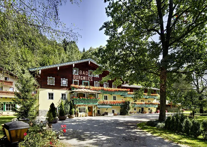 Heilbad Burgwies ホテル